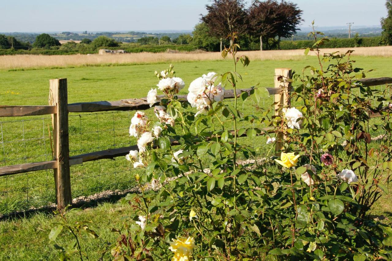 Bewl Rookery B&B Wadhurst 외부 사진